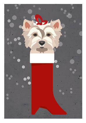 Postkarte - Daria Ivanovna - Hund im Schuh