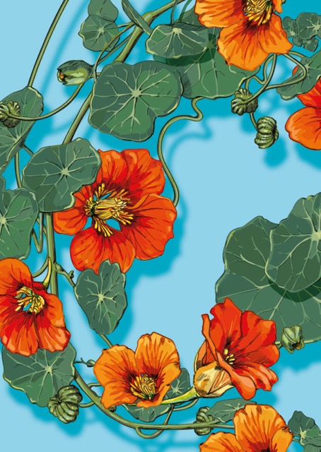 Postkarte - illi - MINE Postkarte - illi - MINE