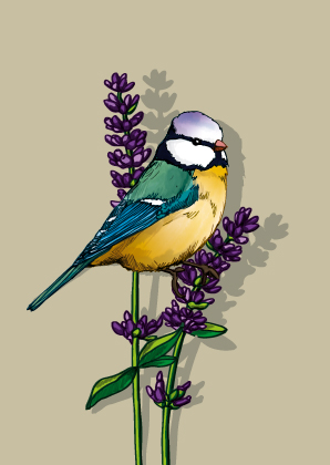 Postkarte - illi - Lisu Postkarte - illi - Lisu