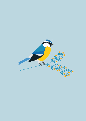 Postkarte - Toni Starck - Summer Bird