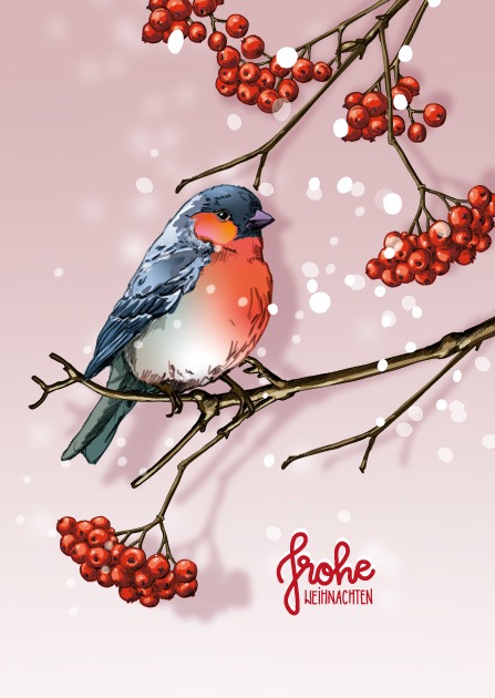 Postkarte - illi - NALLI