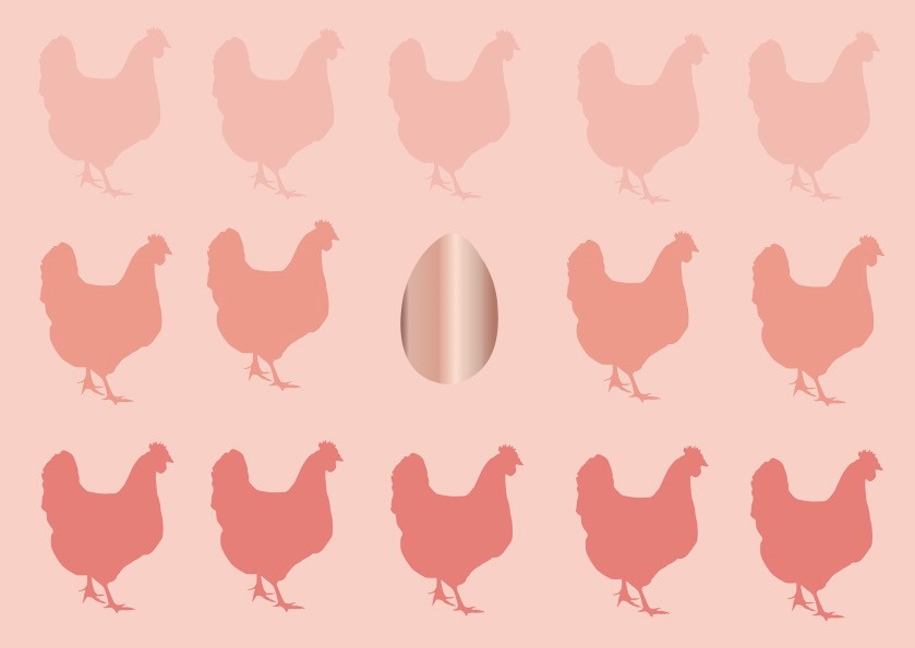Postkarte - Toni Starck - chicken egg