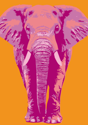 Postkarte - Toni Starck - Orange Elefant