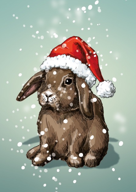 Postkarte - illi - POTTI