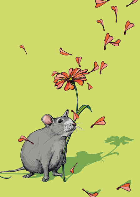 Postkarte - illi - LIPO Postkarte - illi - LIPO