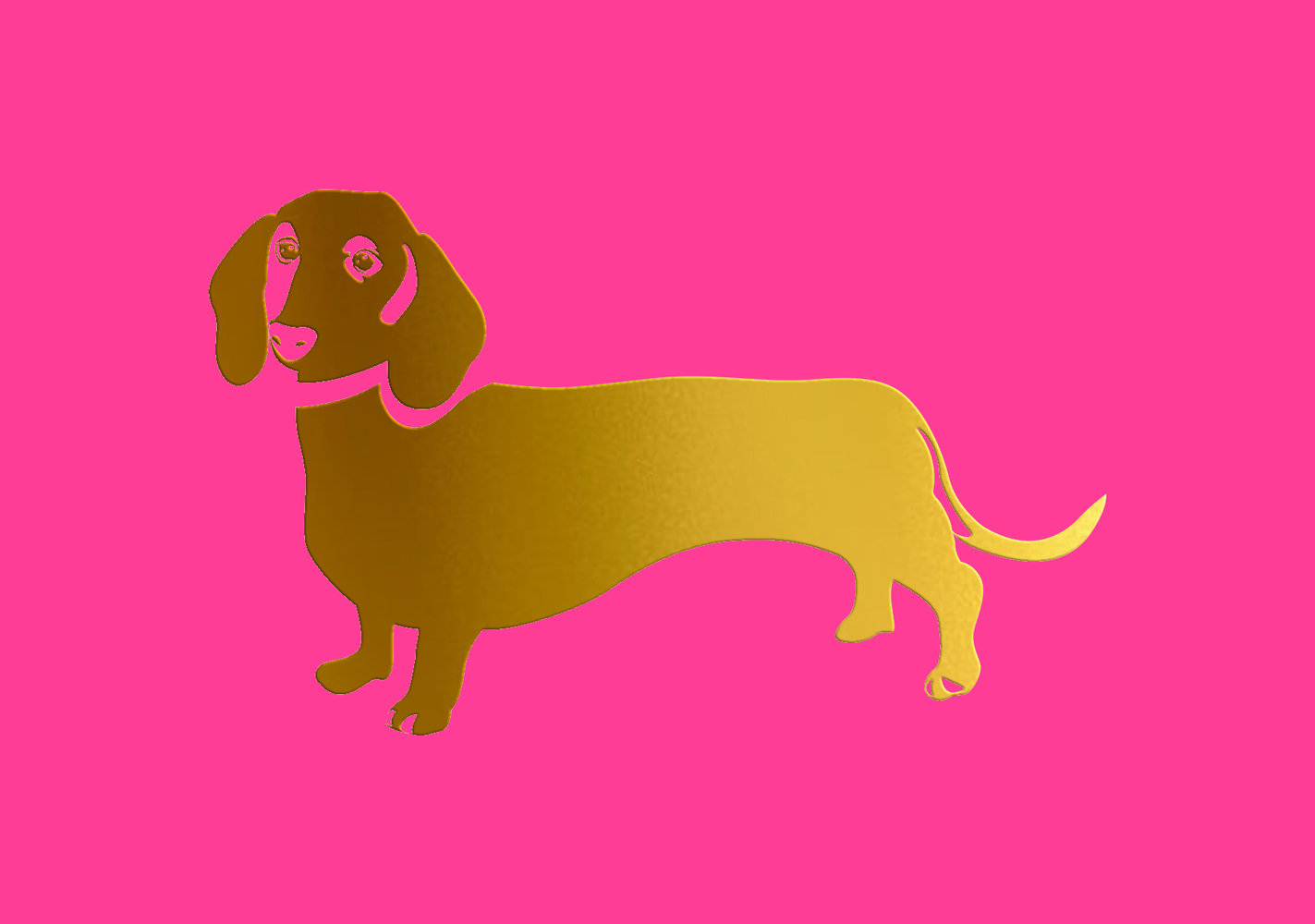 Postkarte - pure - Dackel Postkarte - pure - Dackel