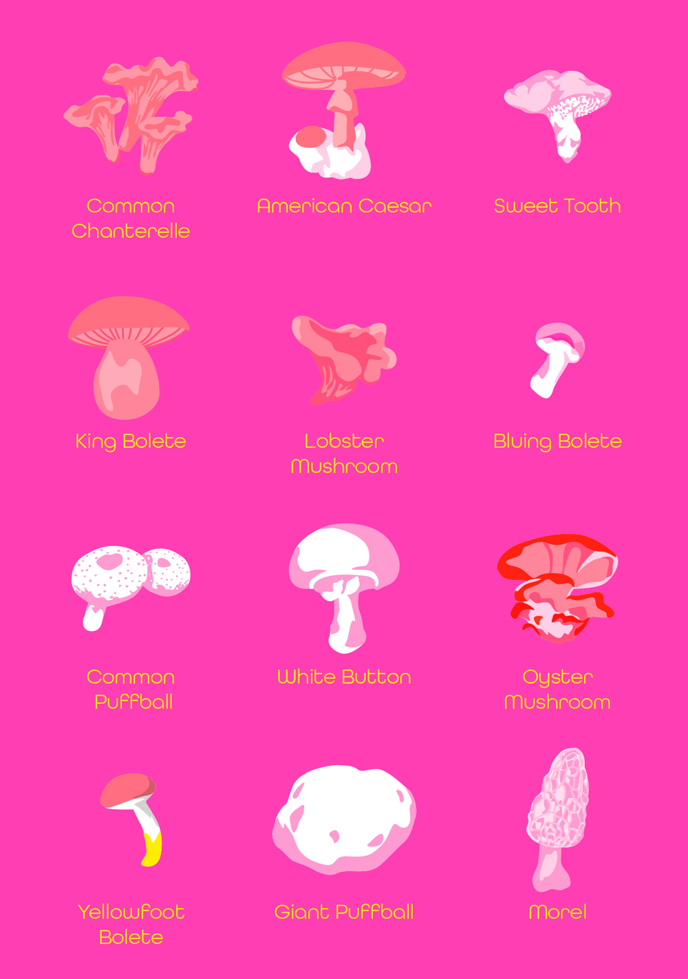 Postkarte - neonstyle - Mushrooms Postkarte - neonstyle - Mushrooms