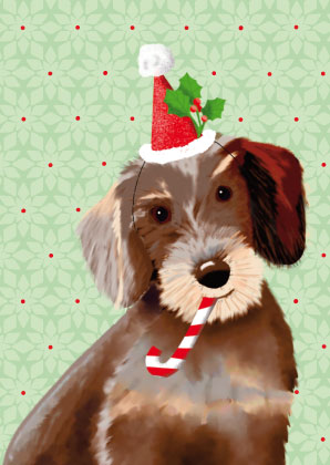 Postkarte - Toni Starck - Sausagedog