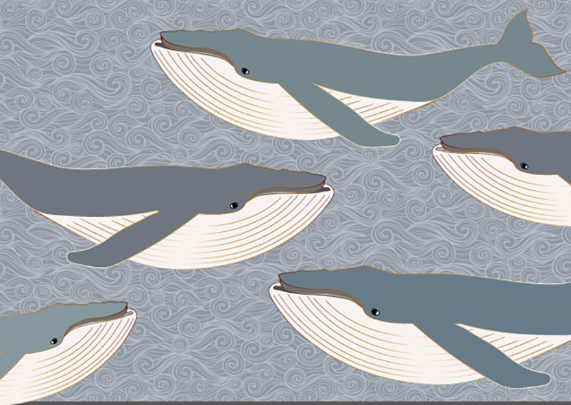 *PK - Toni Starck - whale