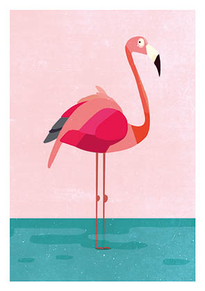 Postkarte - Daria Ivanova - flamingo