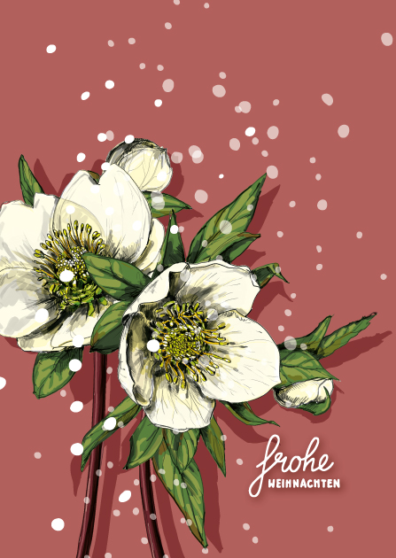 Postkarte - illi - JULEROSE Frohe Weihnachten