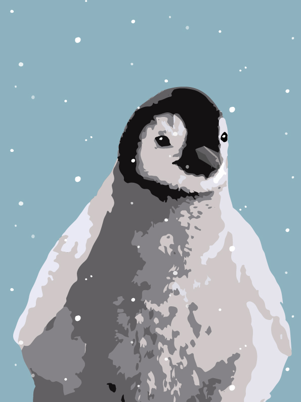Postkarte - Toni Starck - Pinguin