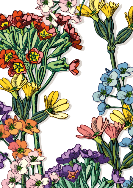 Postkarte - illi - Miala Postkarte - illi - Miala