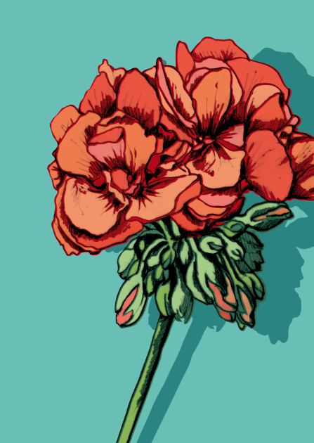 Postkarte - illi - Anna Postkarte - illi - Anna