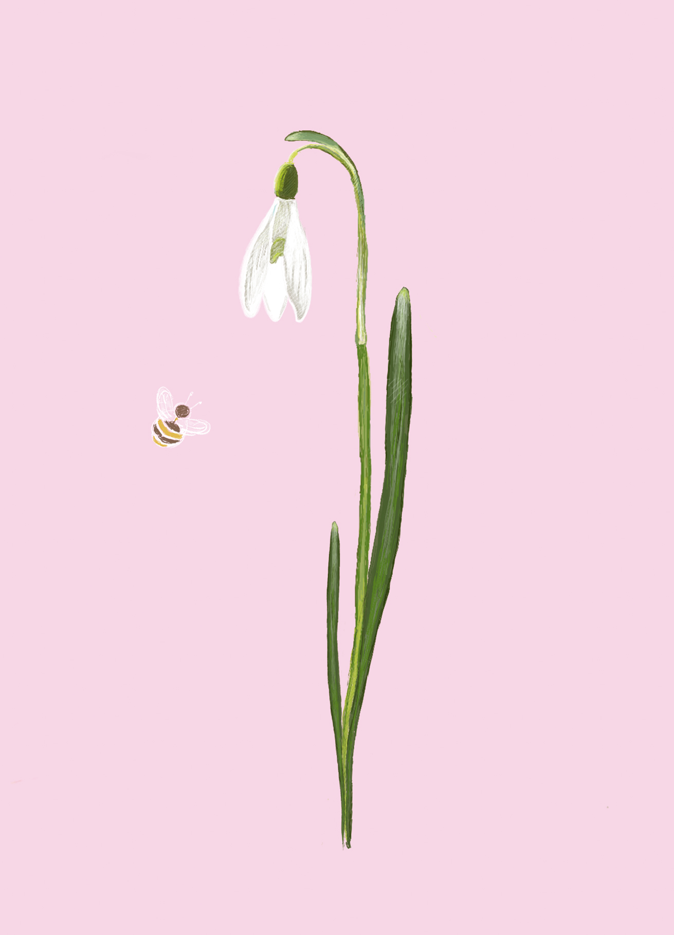 Postkarte - m-illu Save the bees SNOWDROP