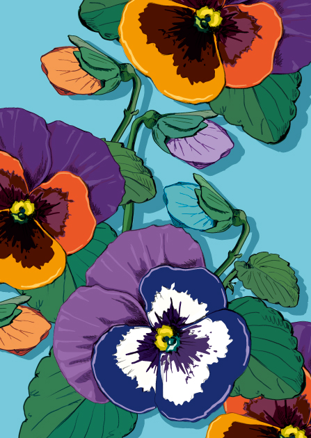 Postkarte - illi - Viola Postkarte - illi - Viola