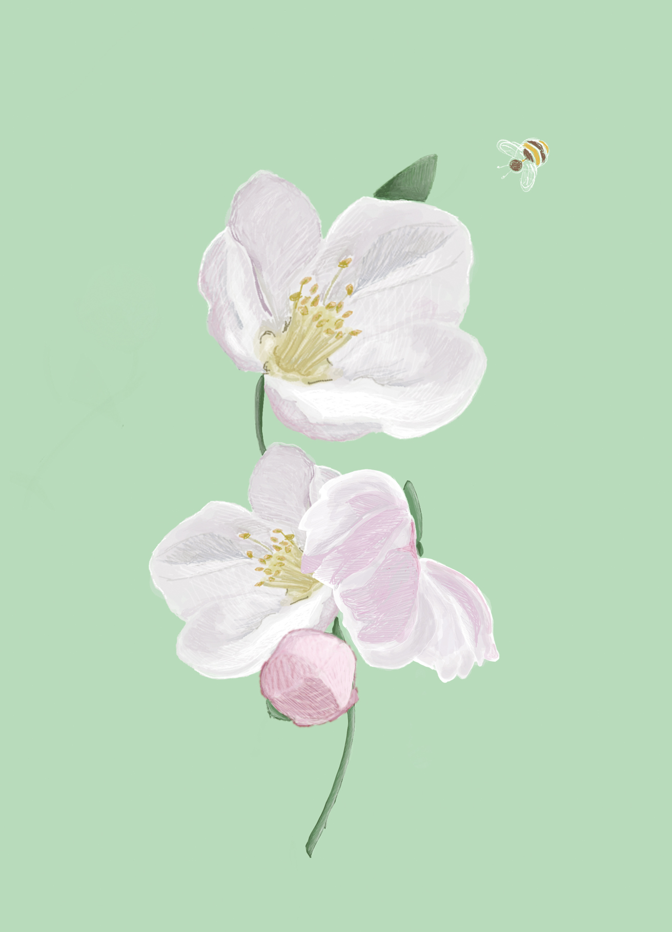 Postkarte - m-illu Save the bees APPLE