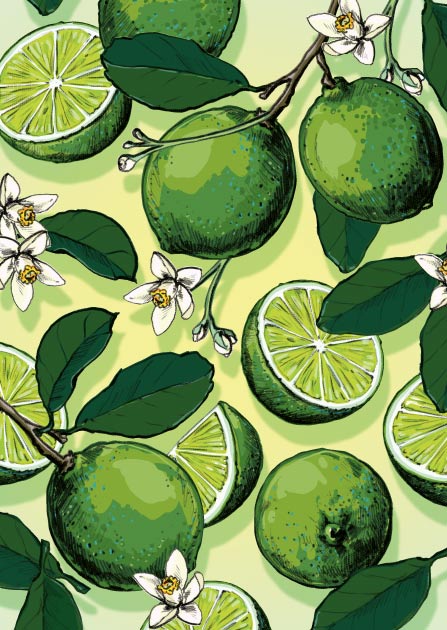 Postkarte - illi - METTI