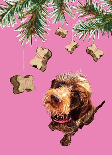 Postkarte - m-illu - Rosa mit Leckerli Postkarte - m-illu - Rosa mit Leckerli