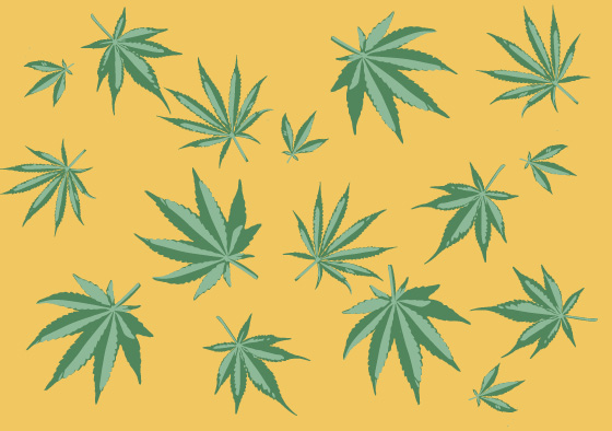 *PK - crissXcross - Cannabis