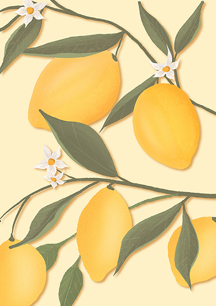 *PK - Toni Starck - Lemonbranch