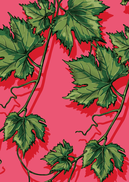 Postkarte - illi - TALINA