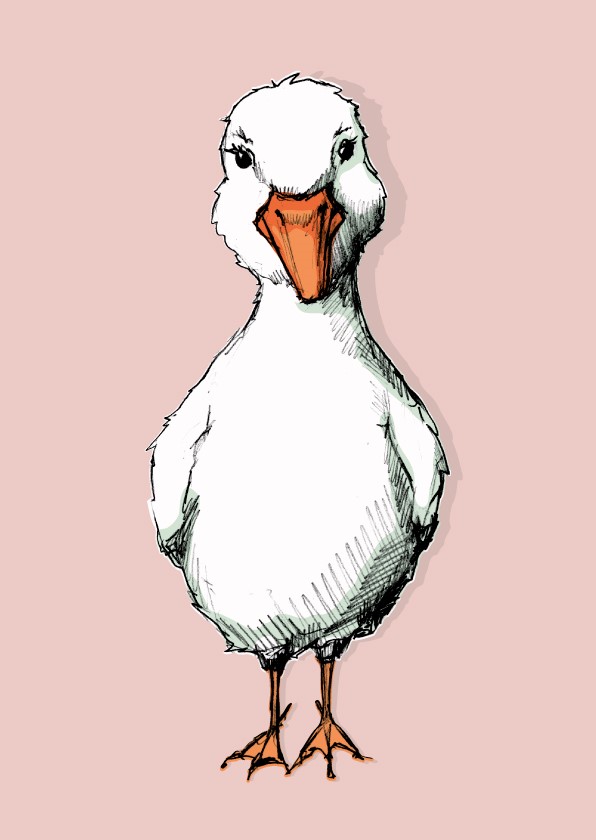 *Kunstdruck A3 - illi - Tibo rosé