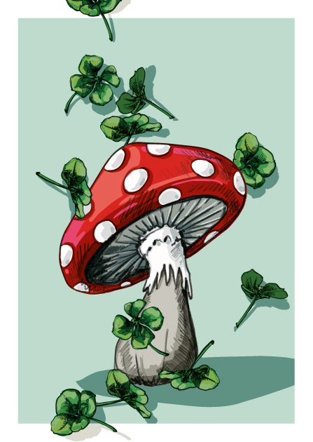 Postkarte - illi - PEMO Postkarte - illi - PEMO