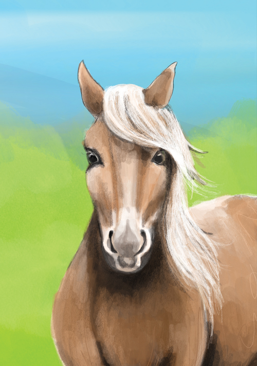 *PK - Tabea Güttner - Pferd