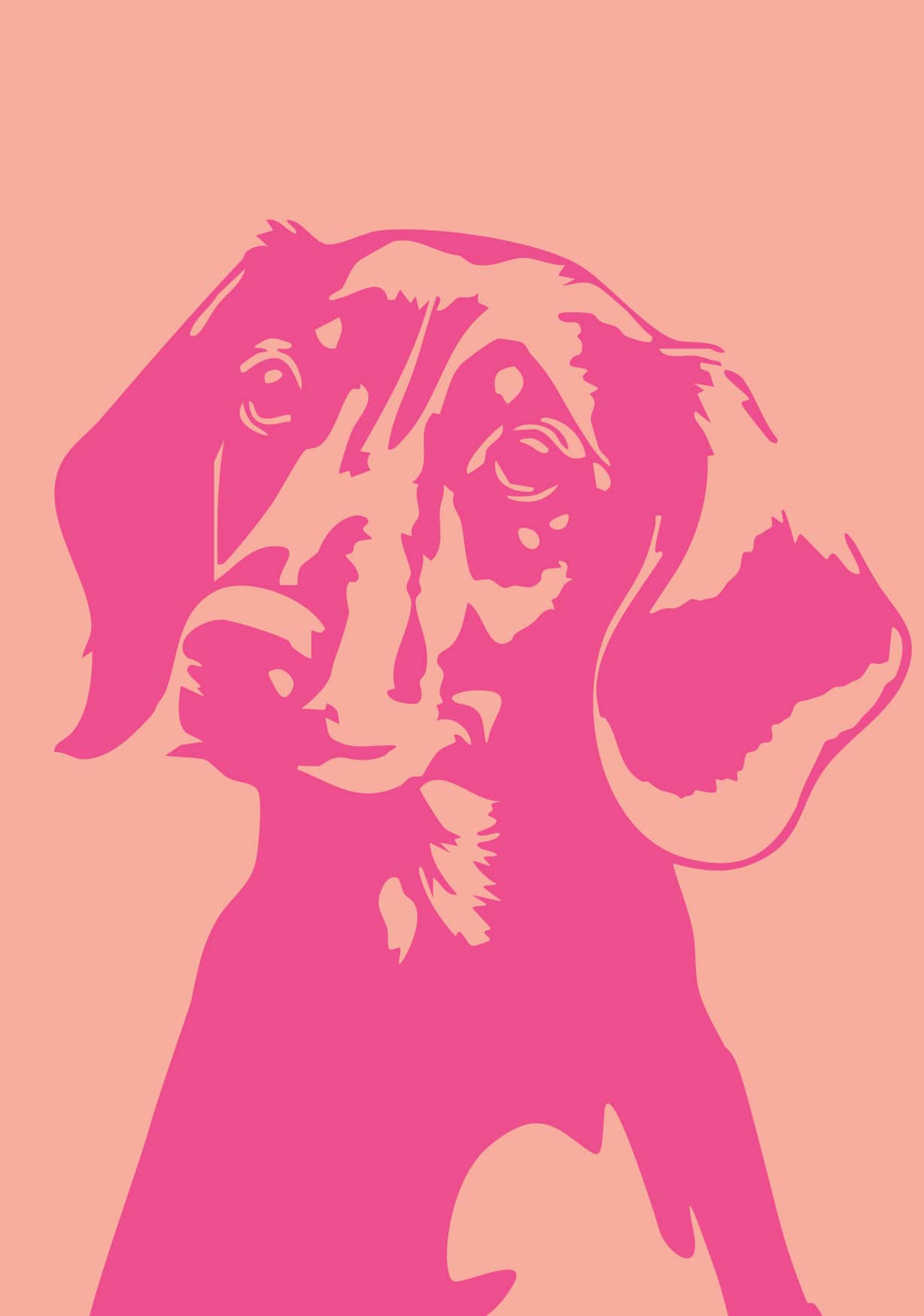 Postkarte - Djune - Dackel