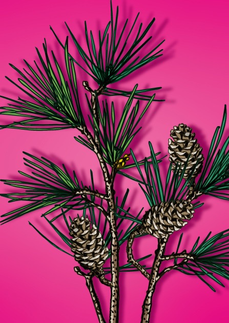 Postkarte - illi - ZUINZU Postkarte - illi - ZUINZU