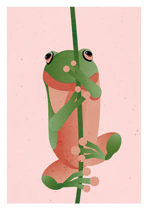 Postkarte - Daria Ivanova - Frosch