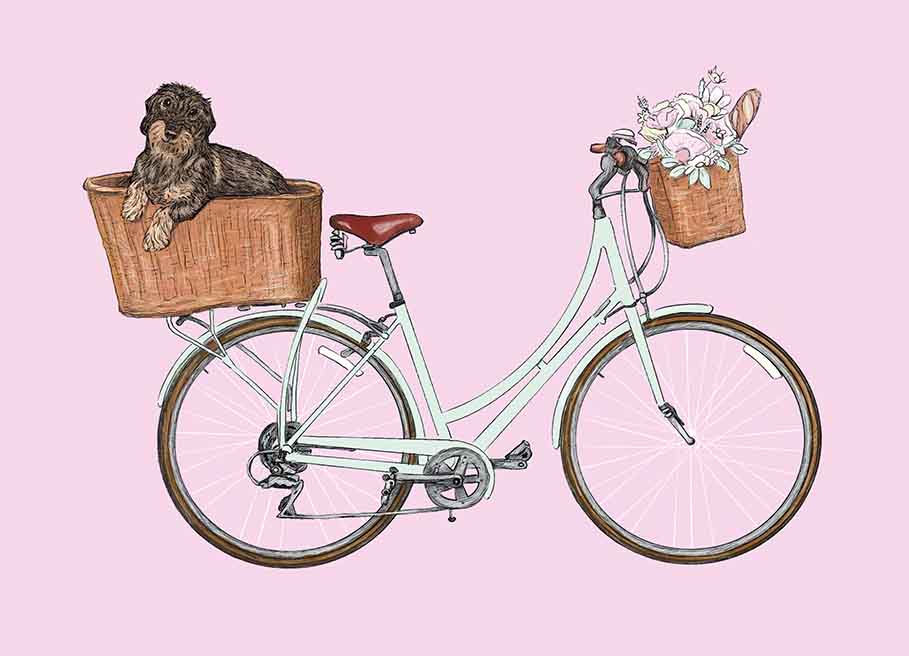 Postkarte - m-illu - Fahrrad mit Dackel Postkarte - m-illu - Fahrrad mit Dackel