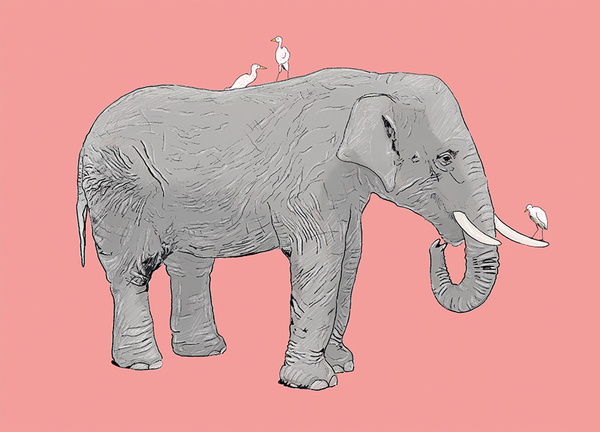 Postkarte - m-illu - Elefant