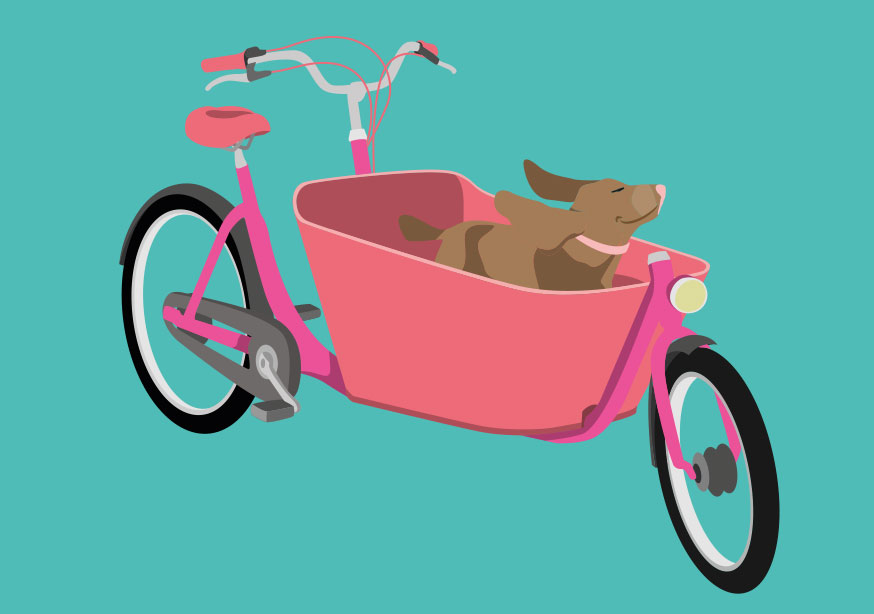*PK - luminous - family bike