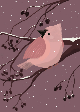 *PK - Toni Starck - Brown Winterbird