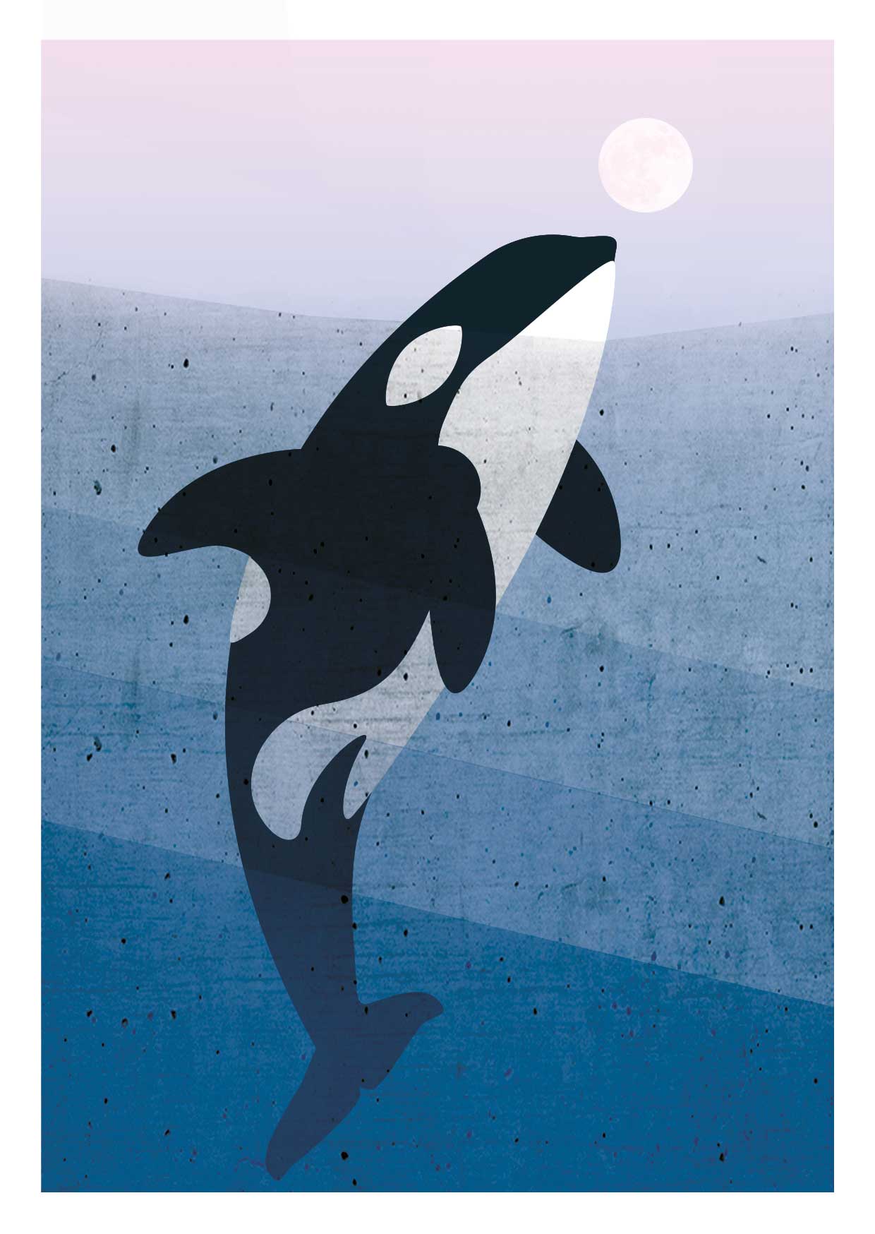 Postkarte - Daria Ivanova - Orca