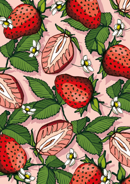 Postkarte - illi - Edi Postkarte - illi - Edi