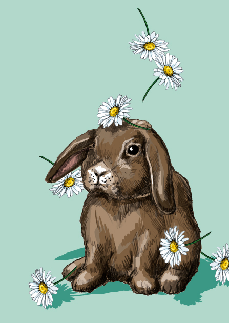 Postkarte - illi - JANKU Postkarte - illi - JANKU