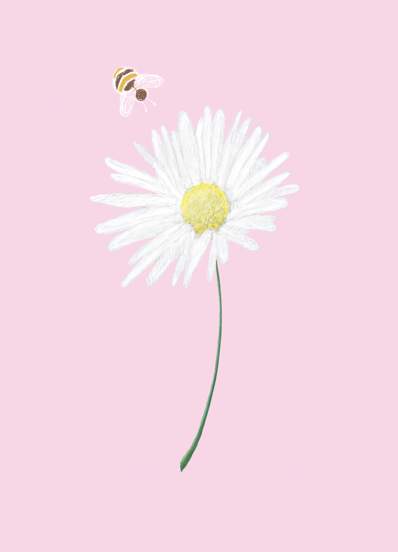Postkarte - m-illu Save the bees DAISY
