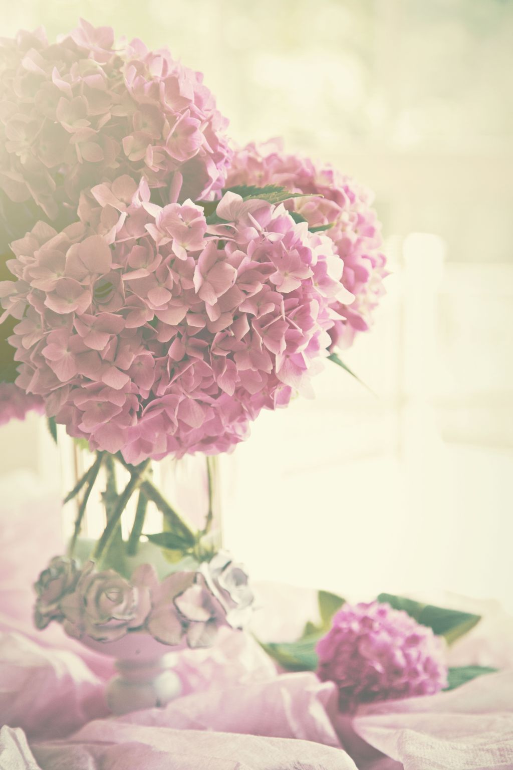 Postkarte - brocante - Hortensie purple