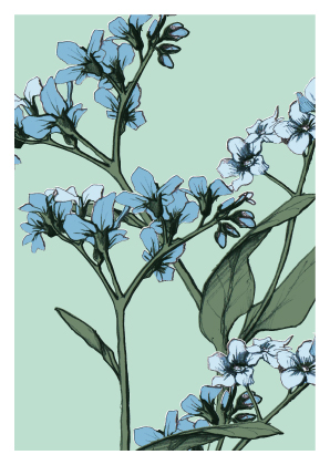 Postkarte - illi - Vergissmeinnicht Postkarte - illi - Vergissmeinnicht