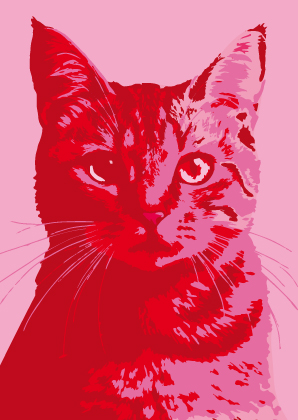 Postkarte - Toni Starck - Pink Cat
