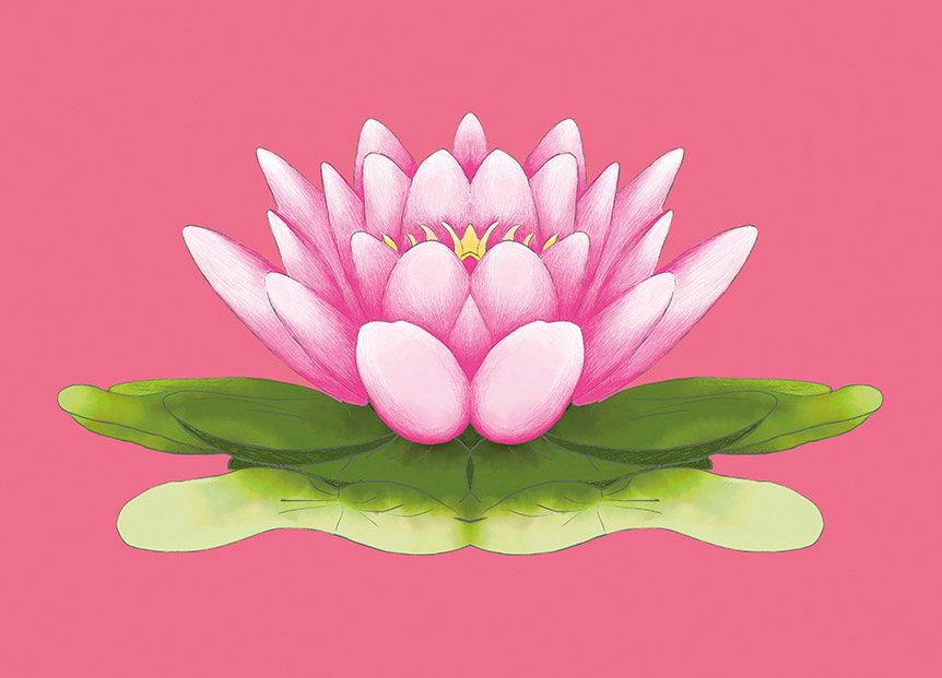 *PK - m-illu - Lotusblüte