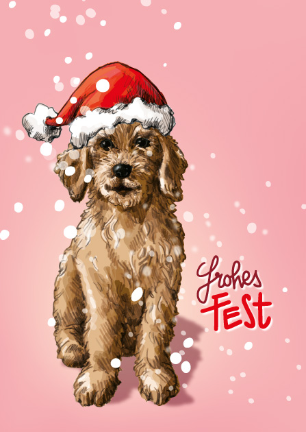 Postkarte - illi - NOLO