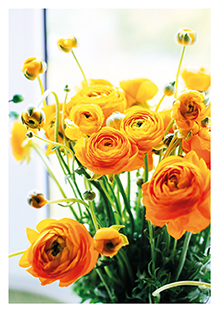 Postkarte - La Card - Ranunkel