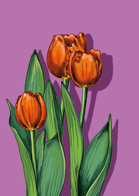 Postkarte - illi - LATUBA