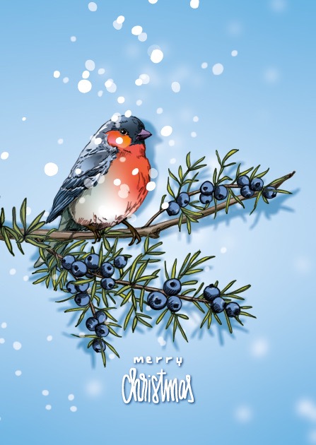 Postkarte - illi - WINNI