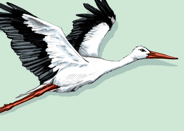 Postkarte - illi - Bata Postkarte - illi - Bata