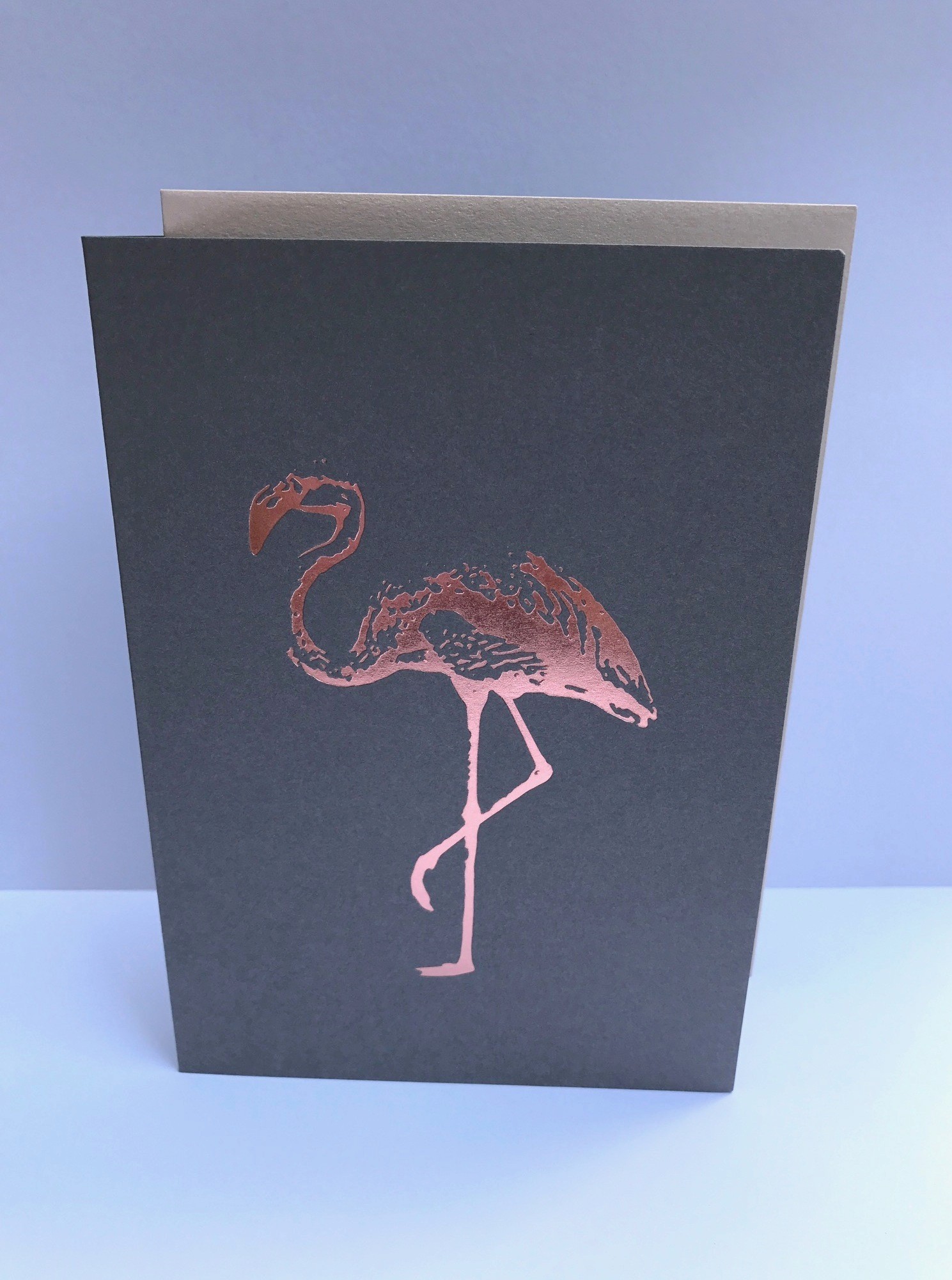 *DK C6 - pure - Flamingo